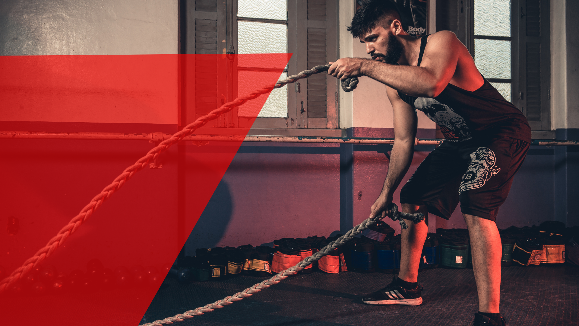  Top 10 Best Selling Gym Equipment In India 